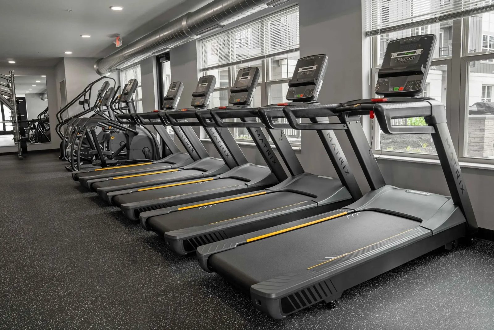 A row of Matrix treadmills along the windows at PKFit Verona